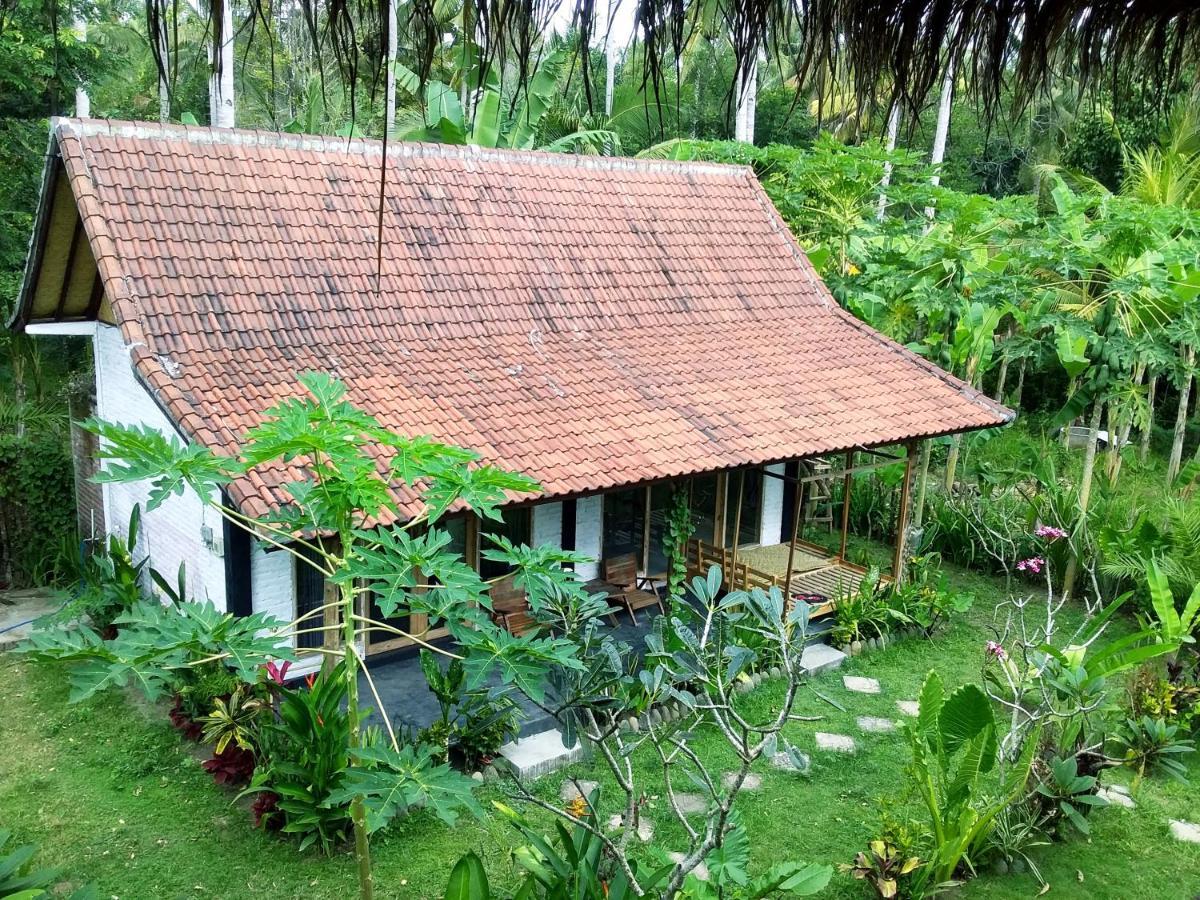 Jungle House - Surf & Stay Pulukan Buitenkant foto