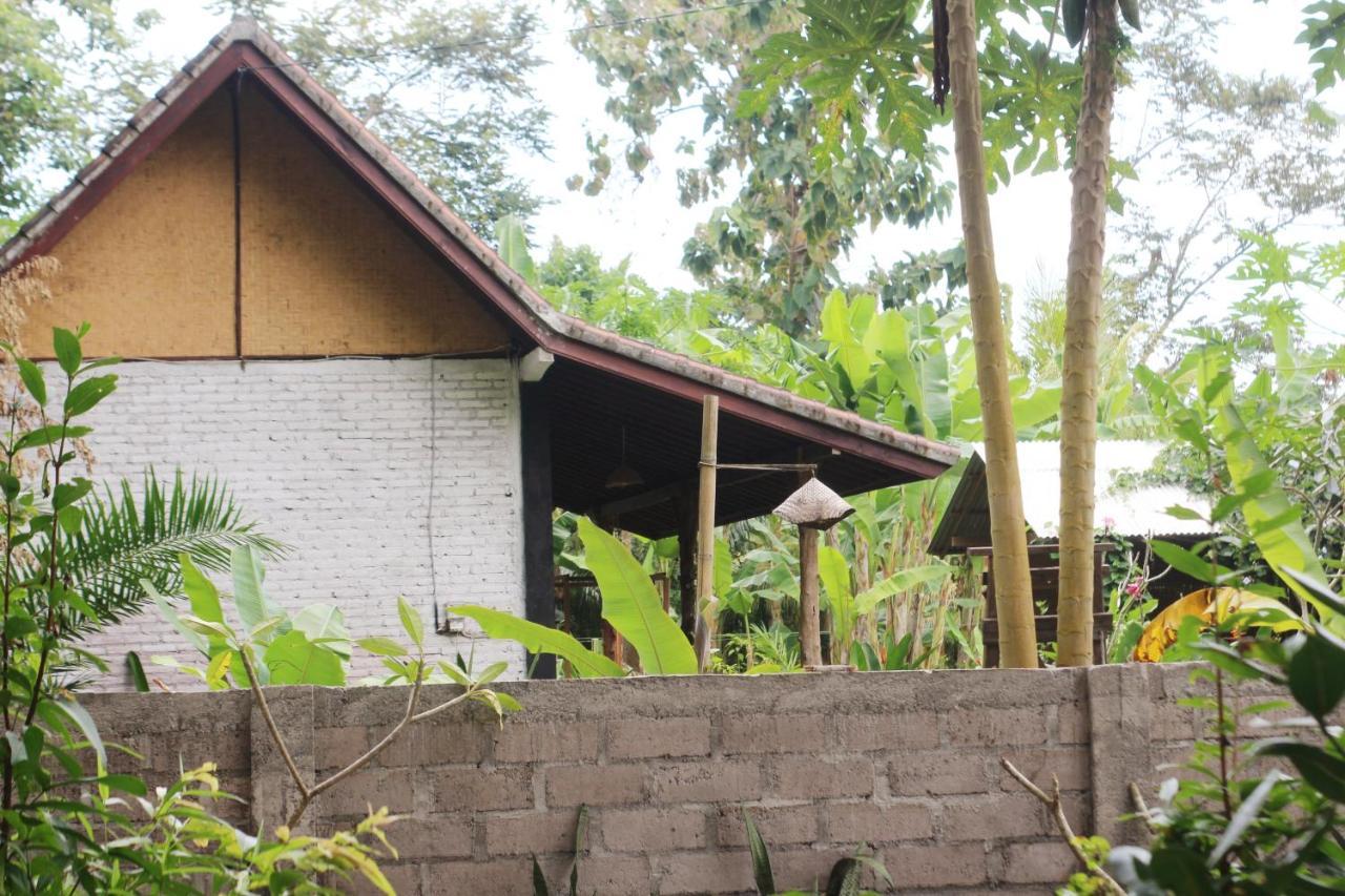 Jungle House - Surf & Stay Pulukan Buitenkant foto