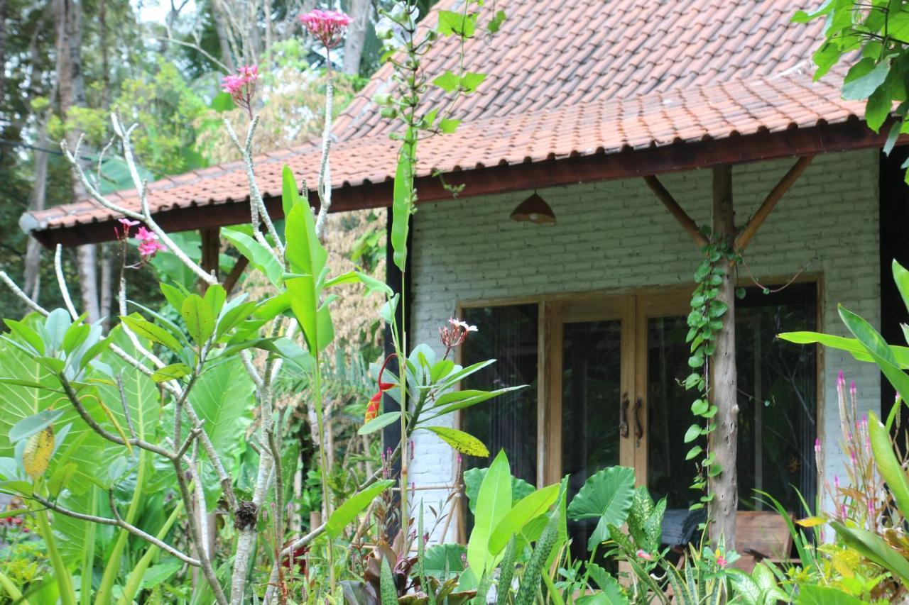 Jungle House - Surf & Stay Pulukan Buitenkant foto