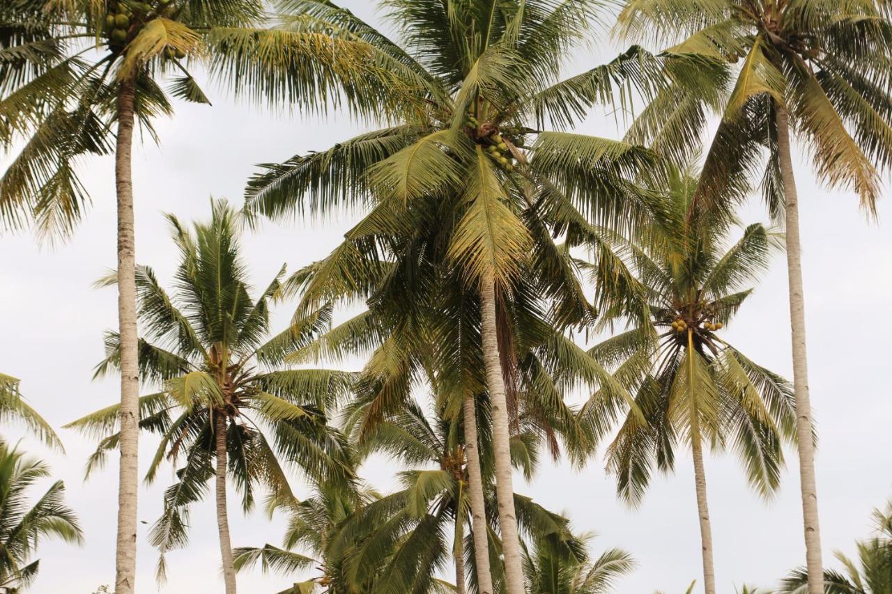 Jungle House - Surf & Stay Pulukan Buitenkant foto