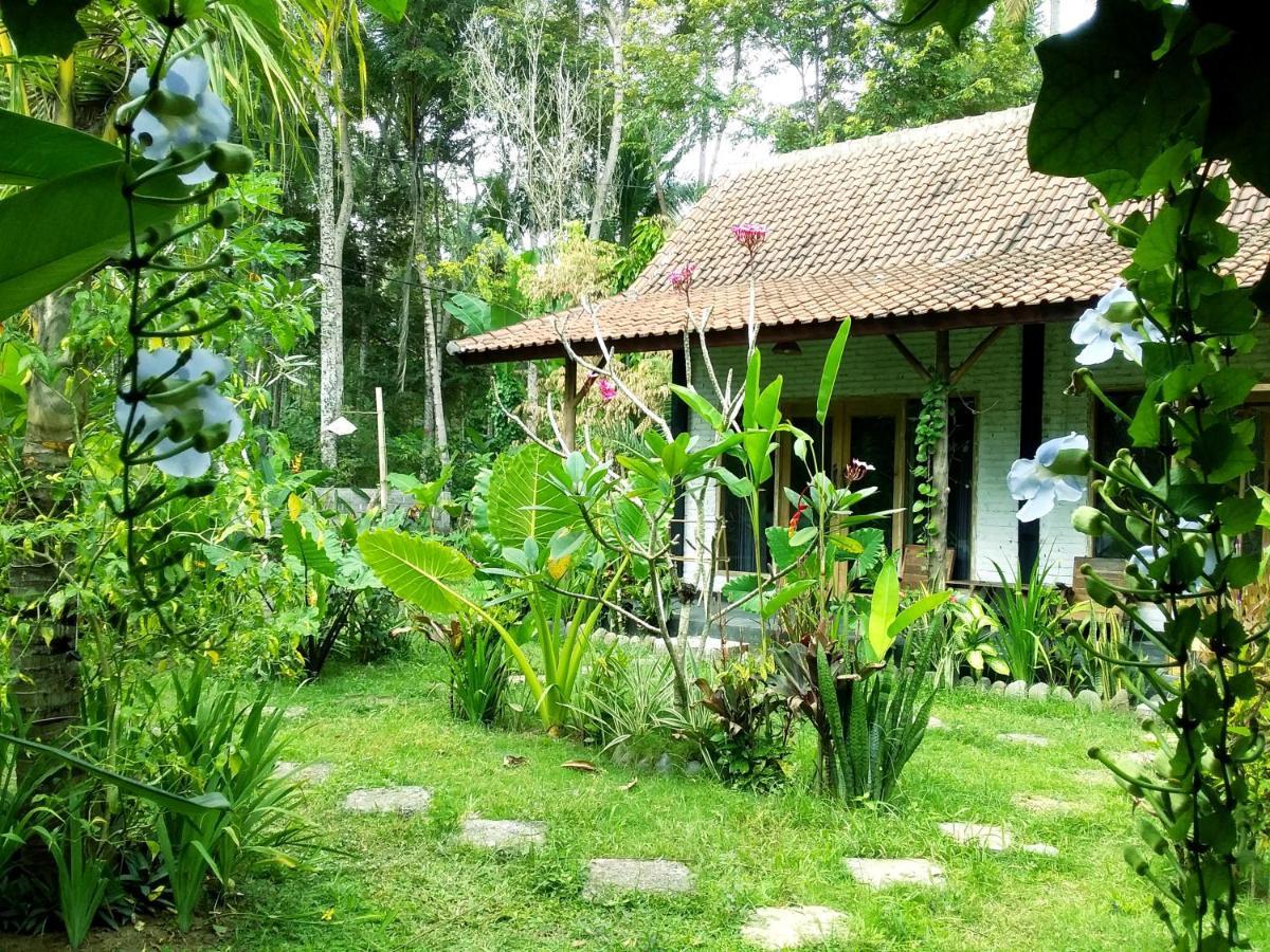 Jungle House - Surf & Stay Pulukan Buitenkant foto